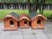 Nowe budy dla bezdomnych czworonogów