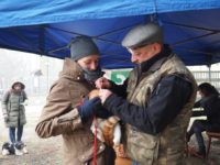 Druga akcja czipowania psów i kotów