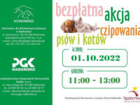 DARMOWE CZIPOWANIE PSÓW I KOTÓW DLA MIESZKAŃCÓW RADOMSKA!
