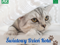 ŚWIATOWY DZIEŃ KOTA 2023