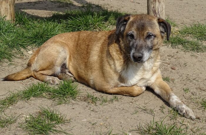 02315 Rudi
