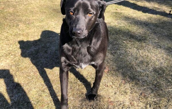 02282 Tytus
