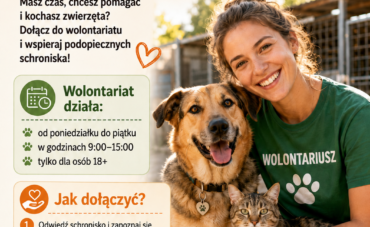 ZOSTAŃ WOLONTARIUSZEM W NASZYM SCHRONISKU